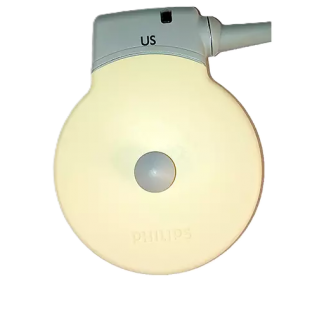 Fetal US Transducer