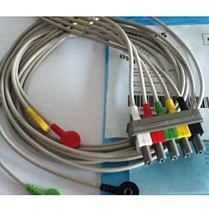 Shielded 5 Lead Set IEC Snap Old Series